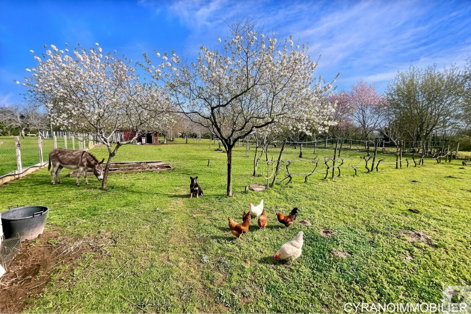 Image_11, Maison, Bergerac, ref :1935