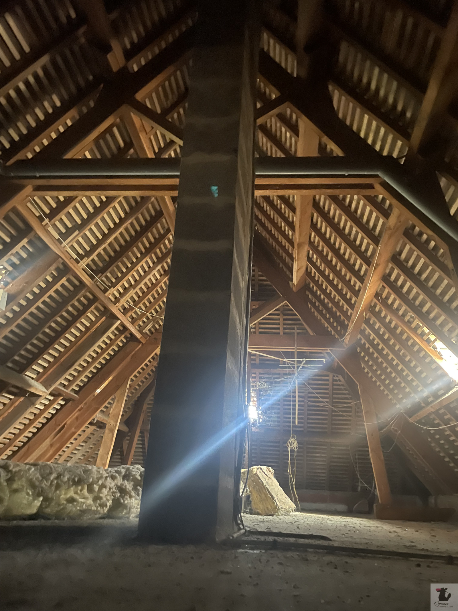 Image_7, Maison, Cours-de-Pile, ref :2029