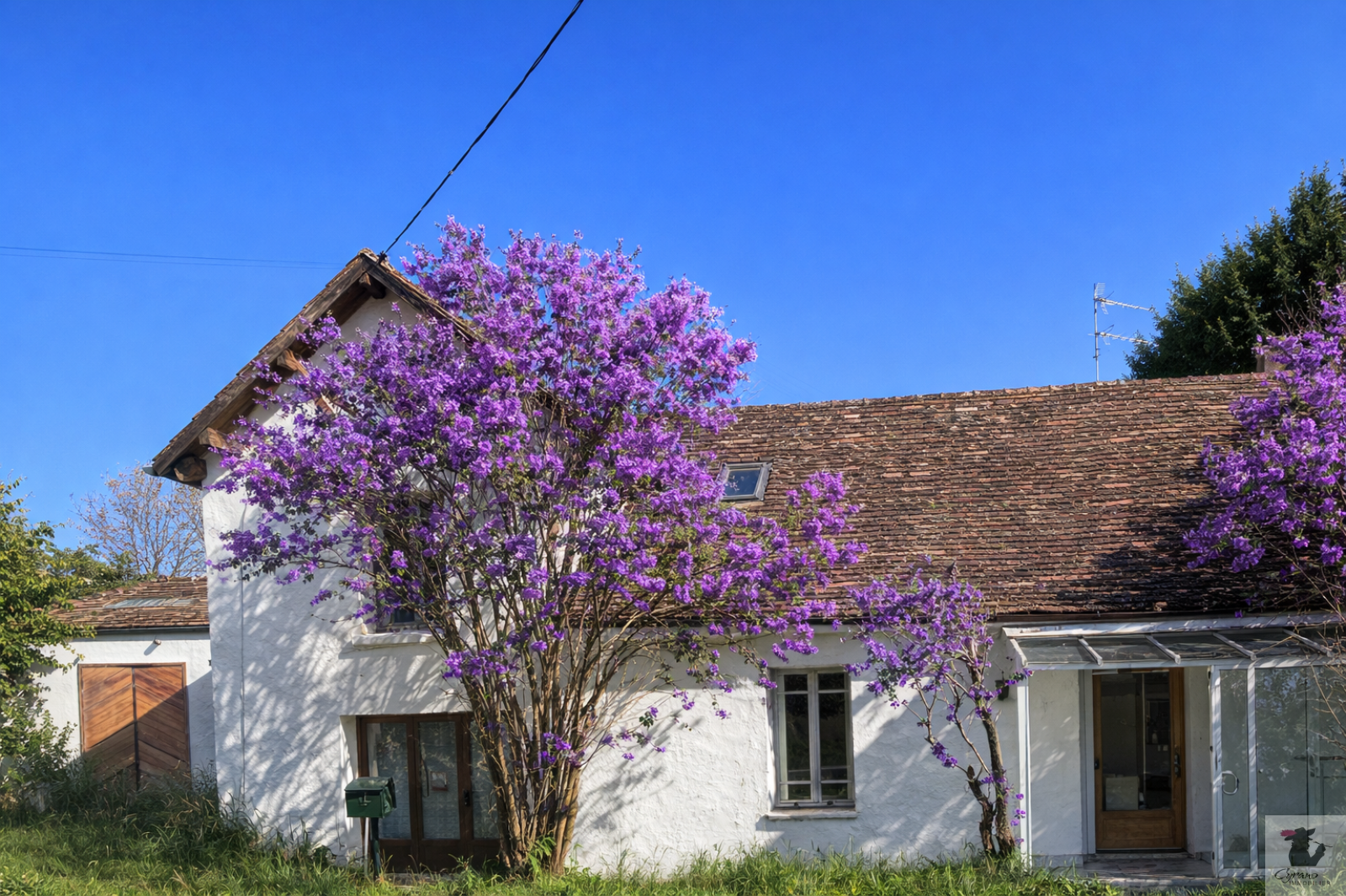 Image_1, Maison, Creysse, ref :1959