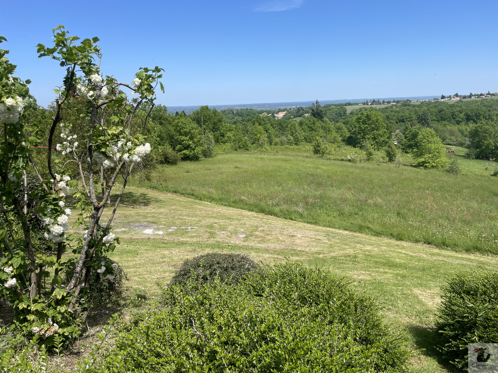 Image_19, Maison, Saussignac, ref :1836