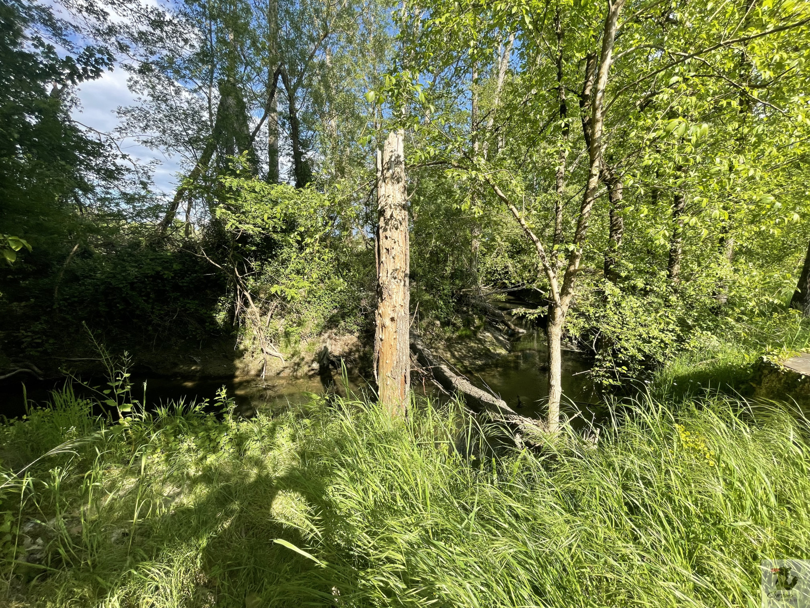 Image_10, Maison, Prigonrieux, ref :1670