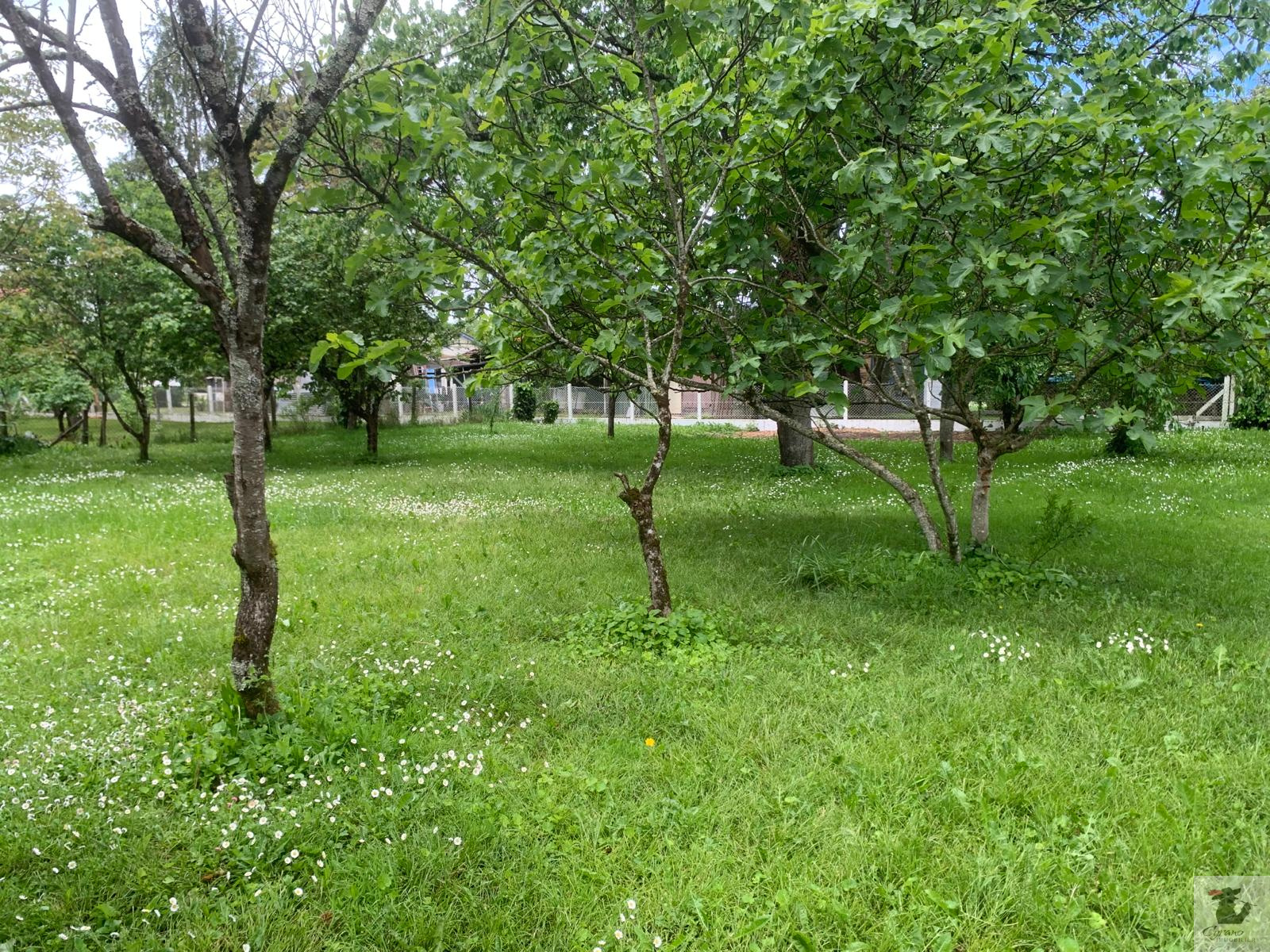 Image_12, Maison, Bergerac, ref :1620