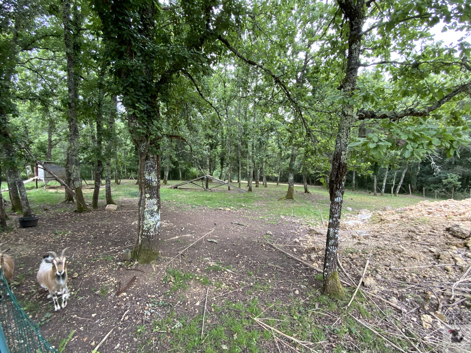 Image_24, Maison, Baneuil, ref :1648