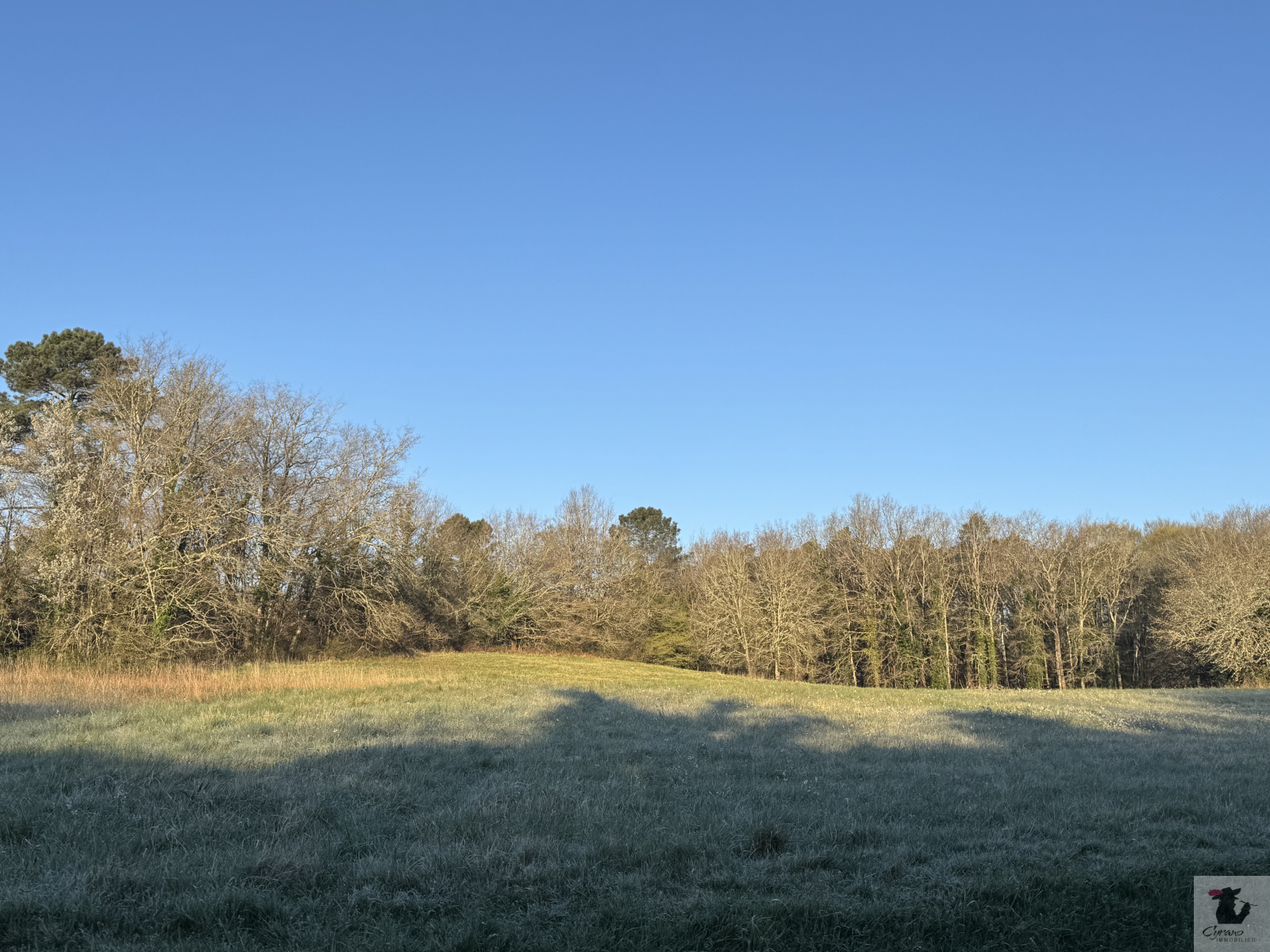 Image_2, Terrain, Maurens, ref :1952