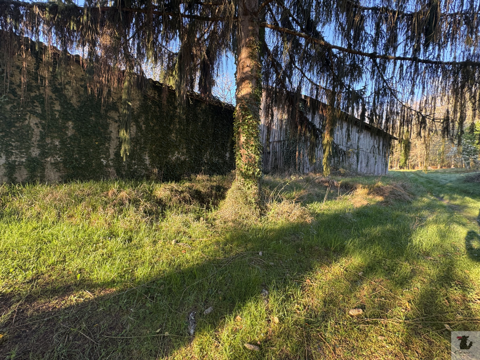 Image_4, Terrain, Maurens, ref :1952