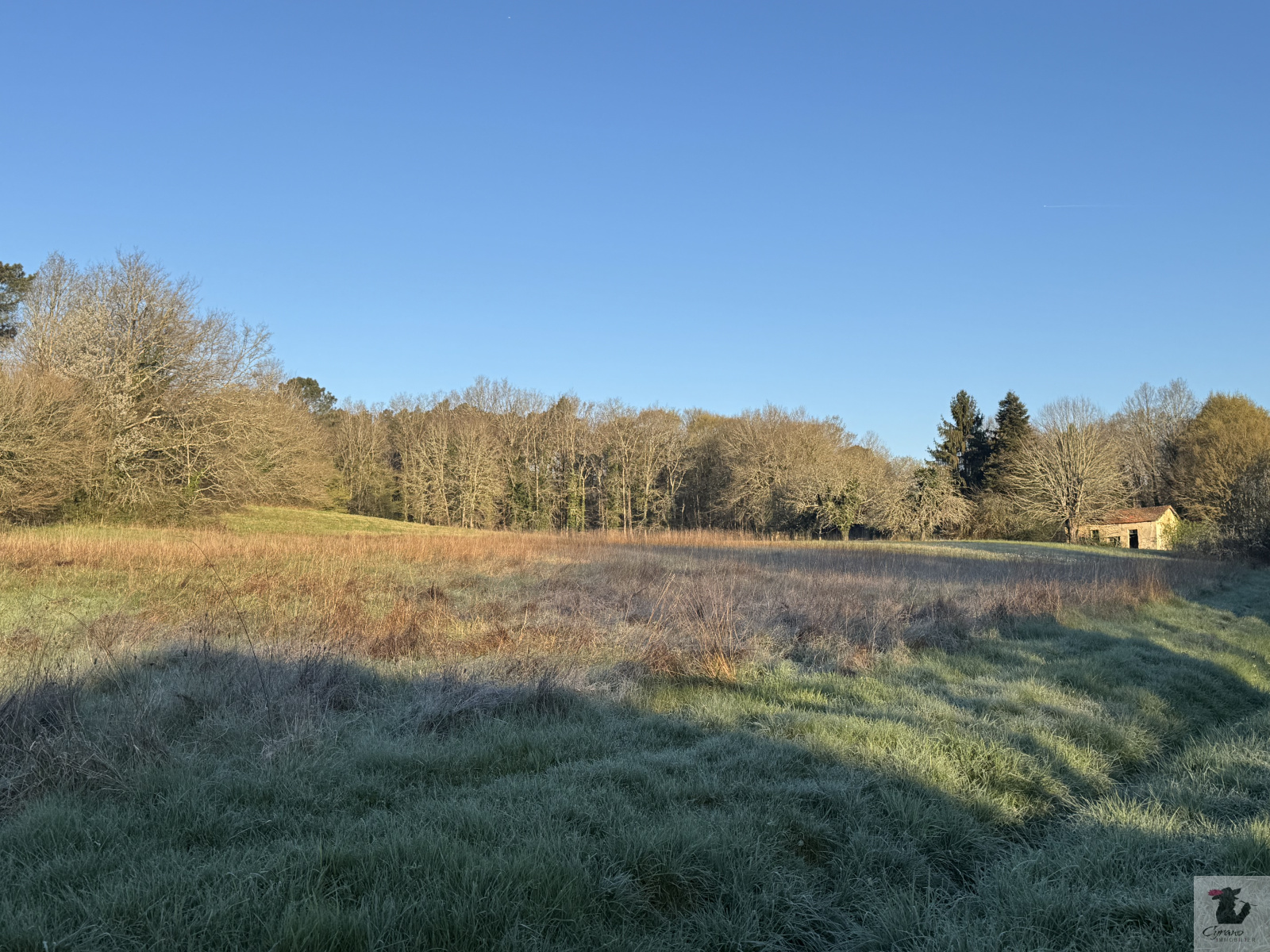 Image_3, Terrain, Maurens, ref :1952