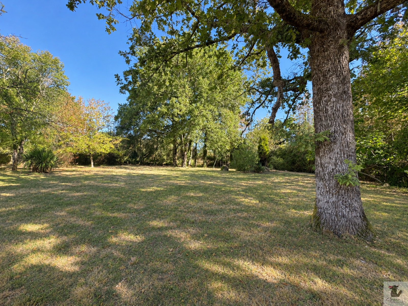 Image_7, Maison, Creysse, ref :2036