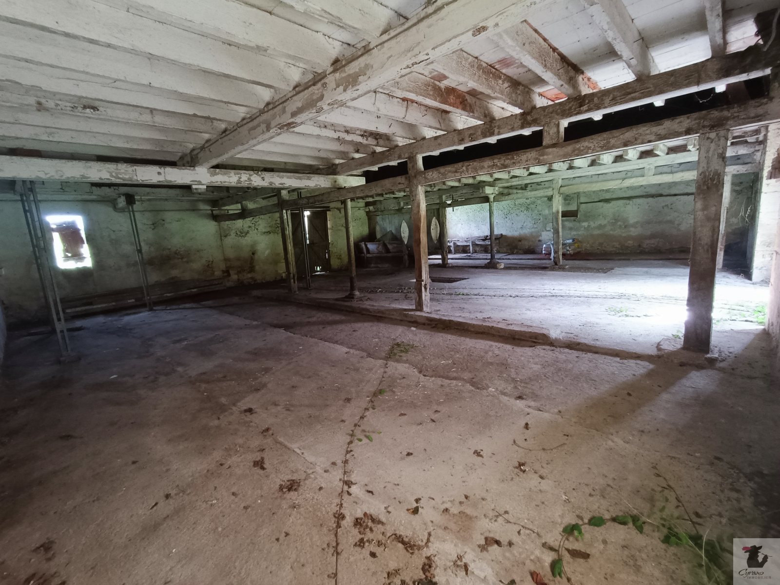 Image_20, Maison, Creysse, ref :1410