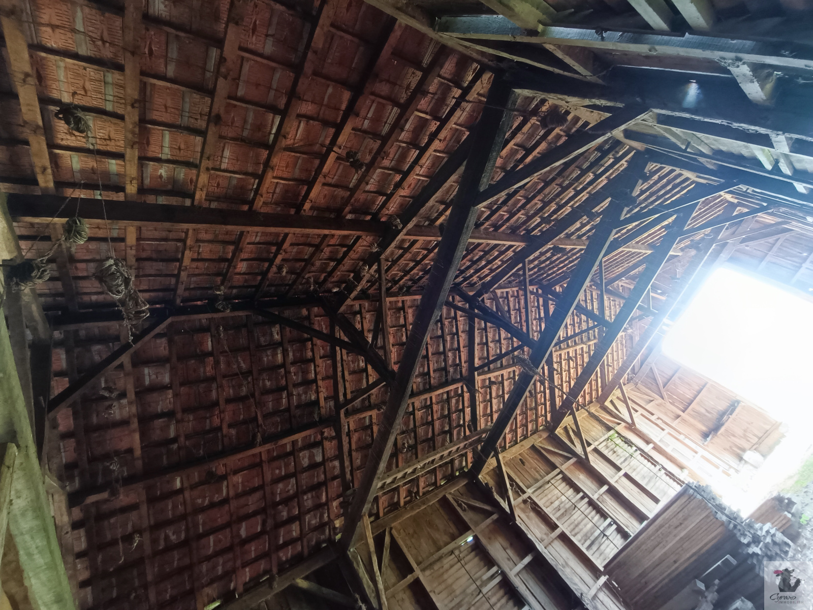 Image_18, Maison, Creysse, ref :1410