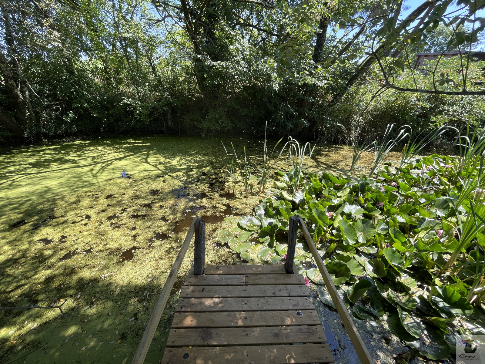 Image_17, Maison, Bergerac, ref :2001