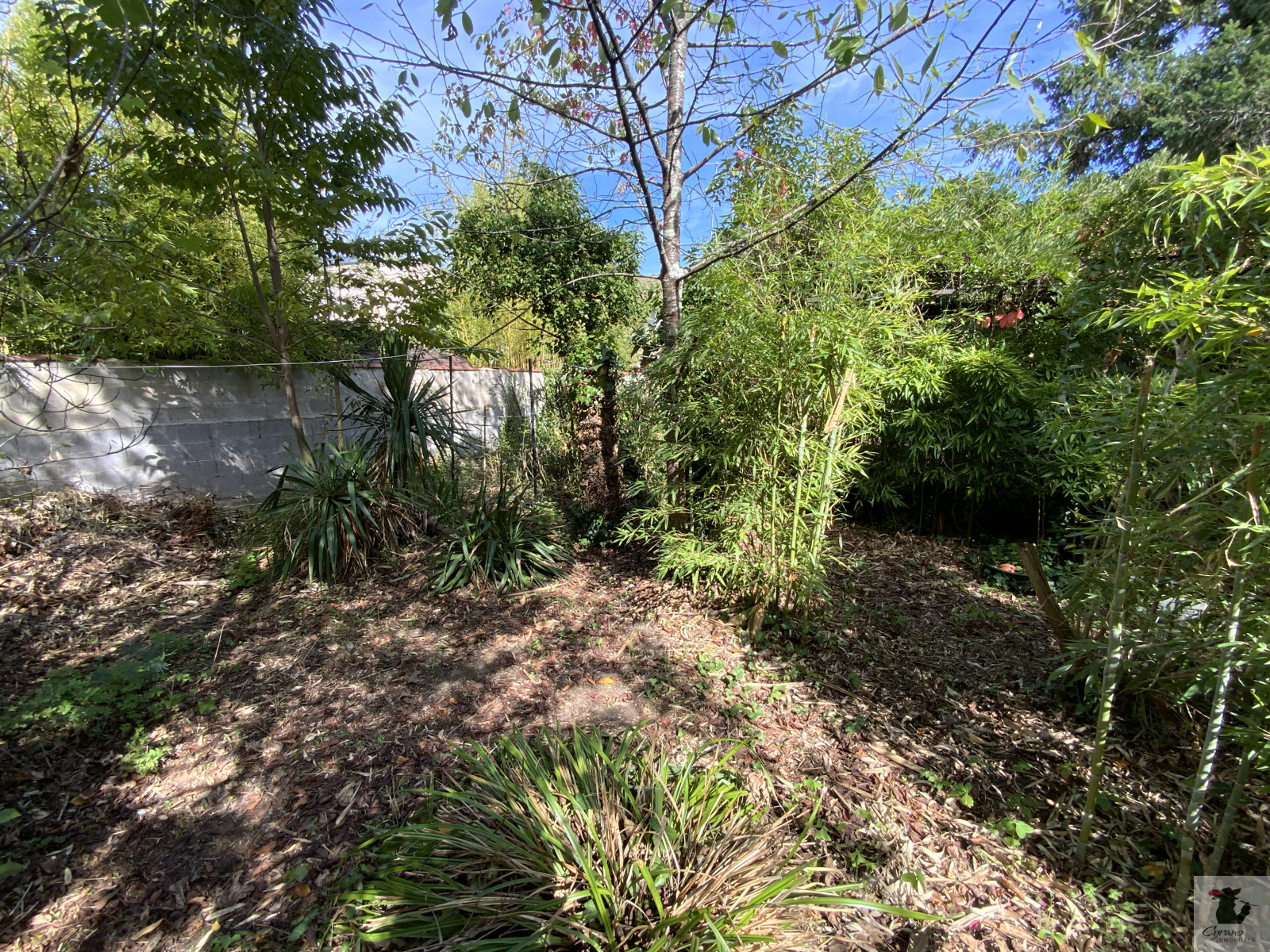 Image_10, Maison, Bergerac, ref :1516