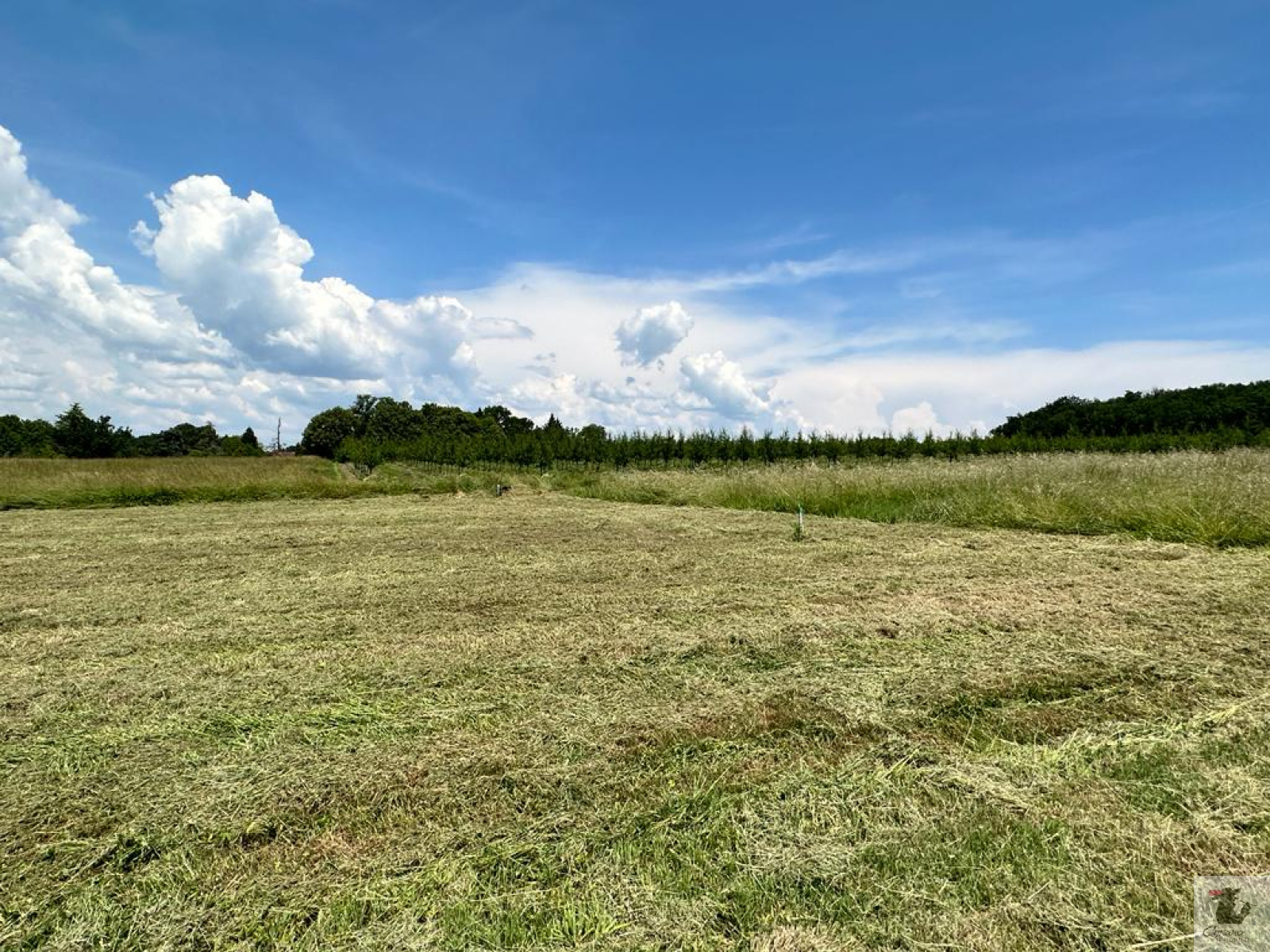 Image_7, Terrain à batir, Saint-Nexans, ref :1459