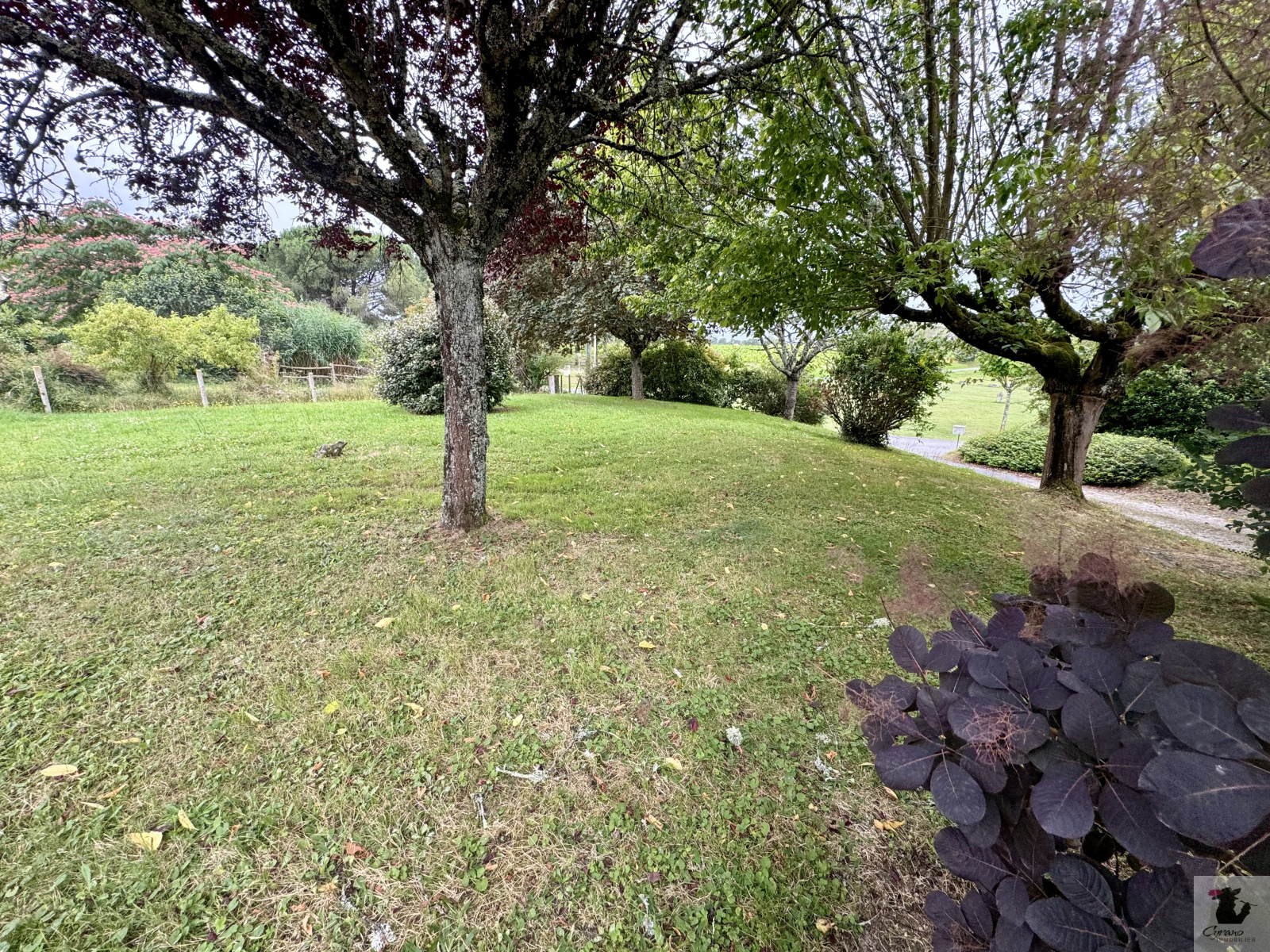 Image_8, Maison, Ginestet, ref :1659