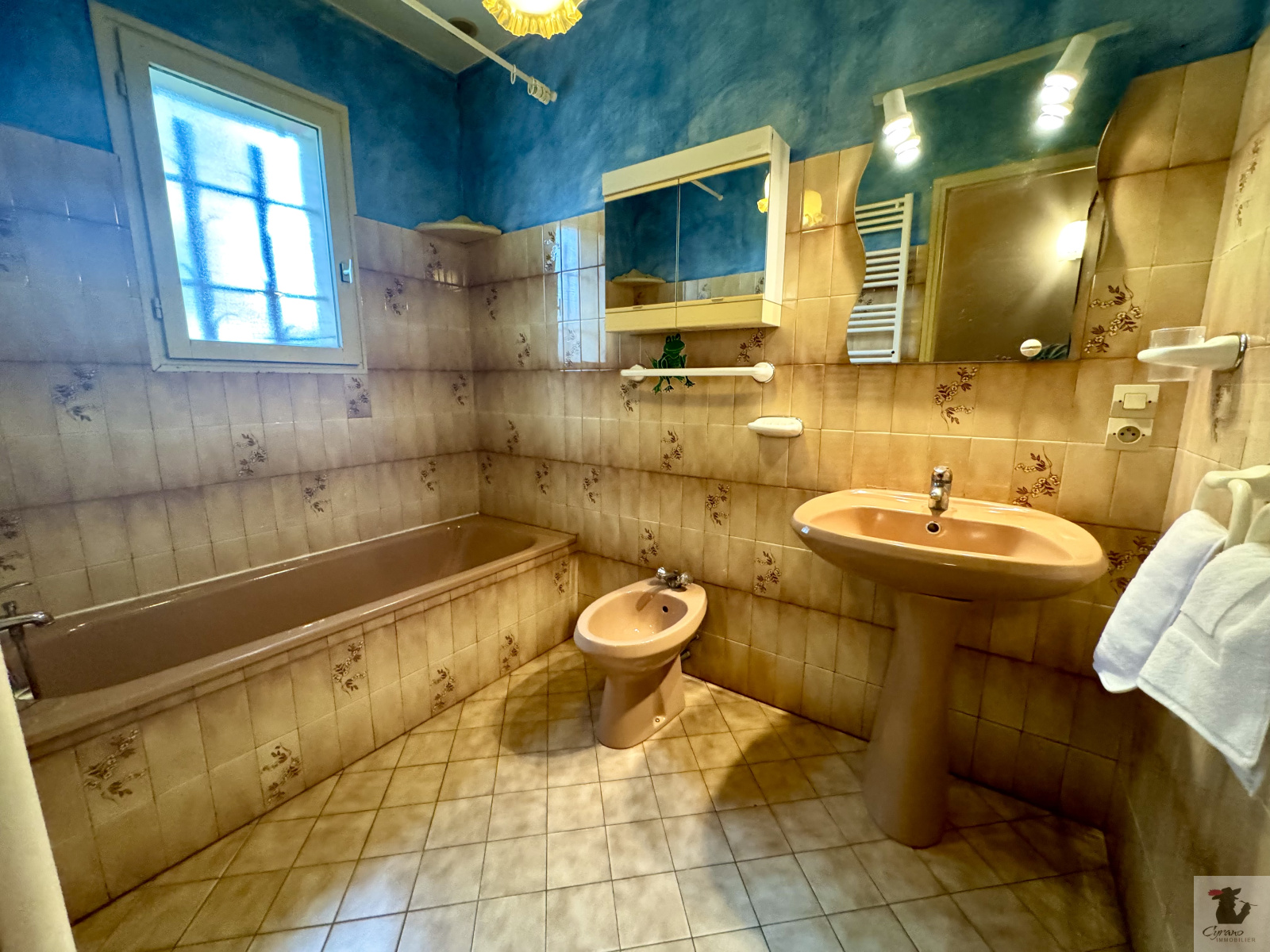 Image_7, Maison, Ginestet, ref :1659