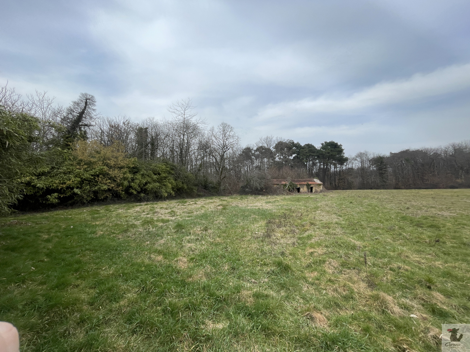 Image_5, Maison, Cendrieux, ref :1449