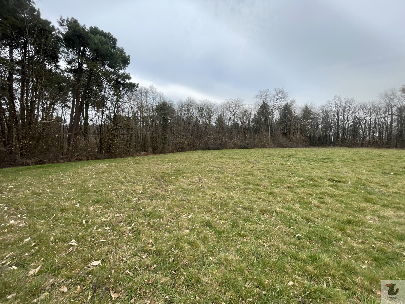 Image_4, Maison, Cendrieux, ref :1449