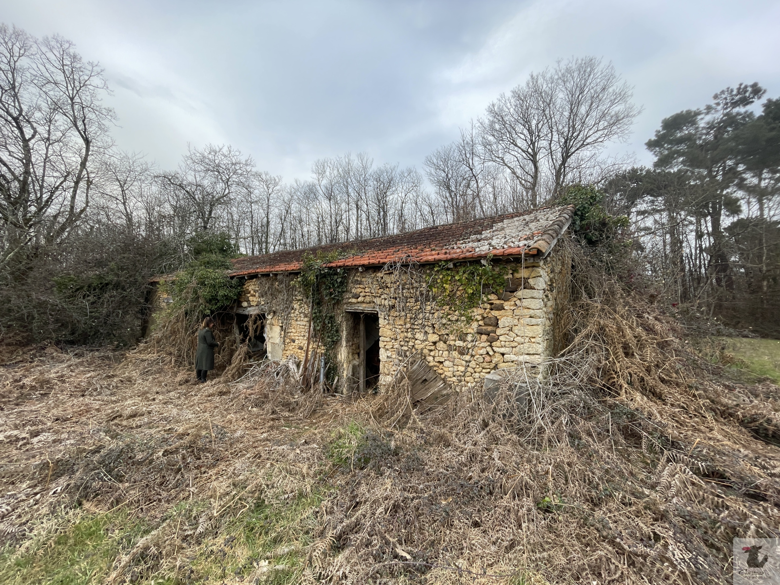 Image_3, Maison, Cendrieux, ref :1449