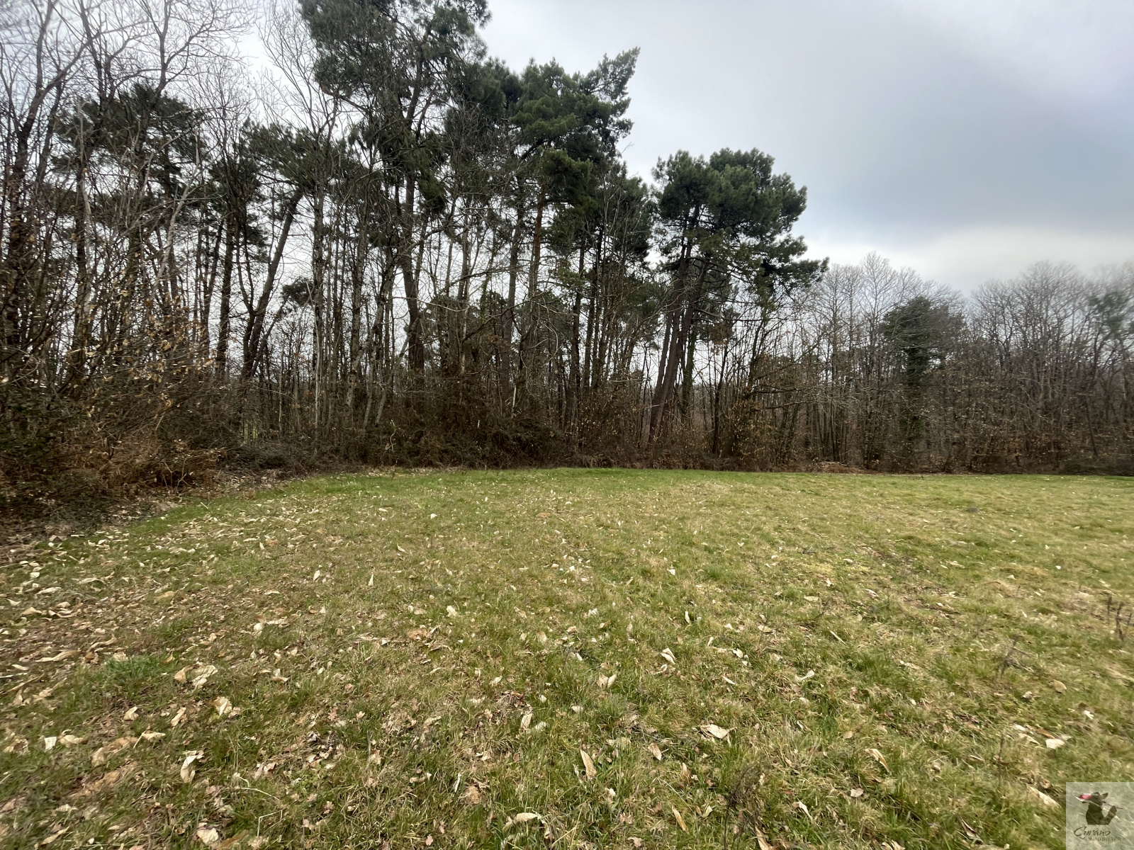 Image_7, Maison, Cendrieux, ref :1449